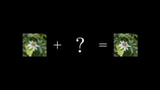 ResNet (actually) explained in under 10 minutes