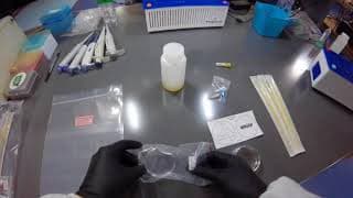 Engineer-it Kit & DNA Playground: Day 1