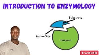 Enzyme catalysis | Enzymes | Active Sites | Enzyme Specificity | Cofactors