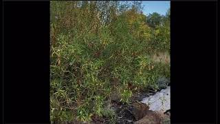 ECE 3006 assessment 1