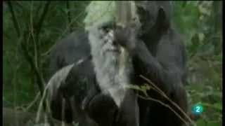 Documentos Express; Los Caminos del Conocimiento  (El Investigador y El Método Científico)