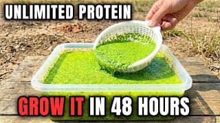 Grow Unlimited Protein In A Bucket. Doubles Every 48 Hours. The 5 Minute Setup.