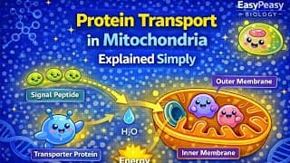 Protein Transport in Mitochondria
