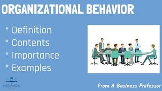 What is Organizational Behavior? (With Real World Examples) | From A Business Professor