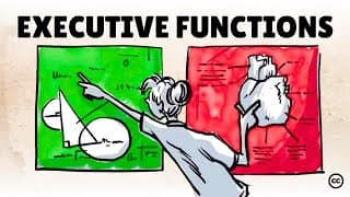 Executive Function: Your Brain's Control Center