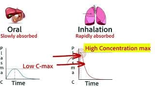 week 2 tutorial on quiz prep PART 2