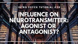 Influence on Neurotransmitter: Agonist or Antagonist? (Intro Psych Tutorial #28)