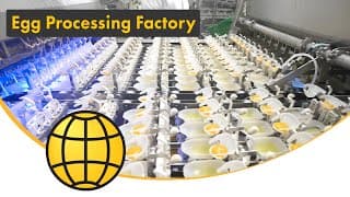 Egg Breaking & Processing Factory - Advanced Egg Processing Machines in Action [BreakerPro] (2024)