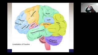 Introduction to the Brain