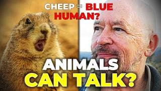 Animals Are Giving Us Weird Names!