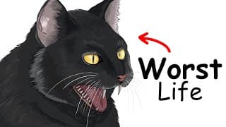 Your Life as a Black Cat in the Middle Ages