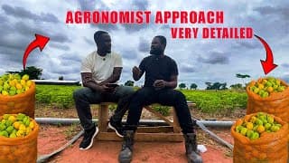 Pepper Farming SECRETS in Ghana: Agronomist Reveals What NO ONE Tells You! (Full Guide)
