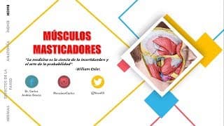 Anatomía - Músculos Masticadores (Origen e Inserción, Relaciones, Acción)