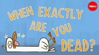 At what moment are you dead? - Randall Hayes