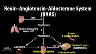 The Renin–Angiotensin–Aldosterone System, RAAS, Animation