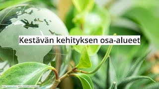 Kestävän kehityksen osa-alueet