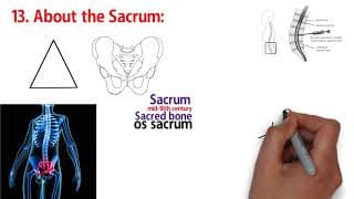 THE SACRUM / SACRED BONE - Sacred Secretion - part 15