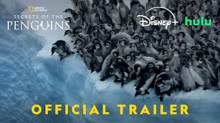 Secrets of the Penguins | Official Trailer | National Geographic