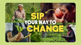 Spilling the tea on sustainability