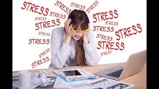 The Effects of Stress