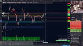 MTTV - Zones of Failure - MuleSkinner