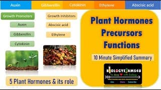 5 Major Plant Hormones, Precursors and their Function|| A Simplified Summary|| Biologyexams4u