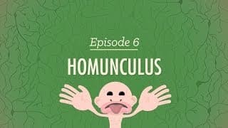 Homunculus: Crash Course Psychology #6