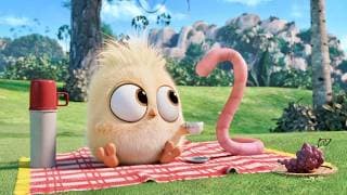 BIRD Phas Gaya WORM Ke Saath | Movie/Film Explained in Hindi/Urdu (Movie Story)