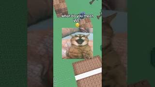 Saturday Struggles😭🙏#roblox #robloxrant #rblx #relatable #kittyrants