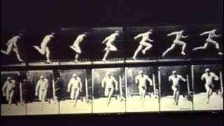 Anthony Vidler - Warped Space