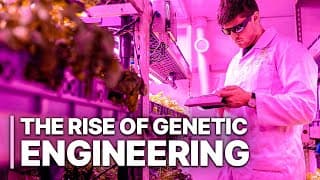 The Rise Of Genetic Engineering | Gene-Editing Technology | Science Documentary