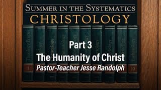 The Humanity of Christ | Jesse Randolph | Christology (Part 3) - 6.16.24 PM