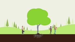 Be a Holistic Organization for Optimal Performance and Profits