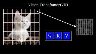 Vision Transformer