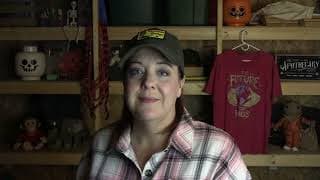 Let's talk about why MTG is seeming more reasonable....