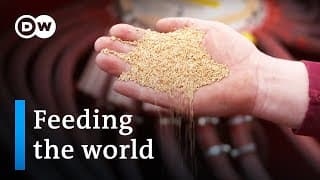 Food security - A growing dilemma | DW Documentary