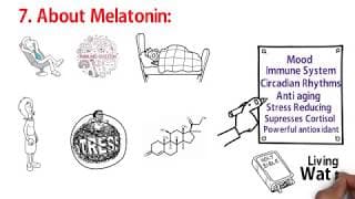 MELATONIN - Sacred Secretion / Christ Within Part 9